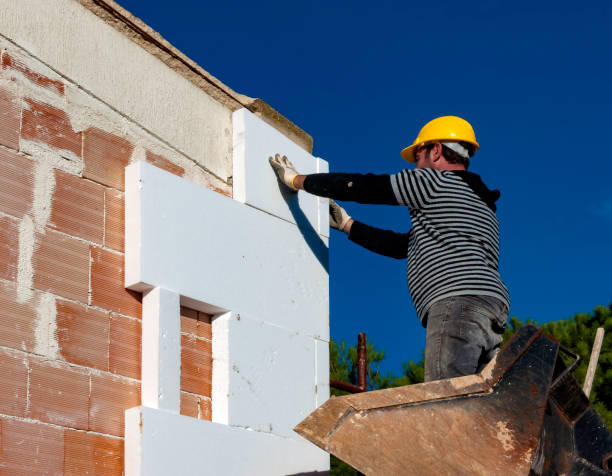 Best Cellulose Insulation in Hopkins, SC