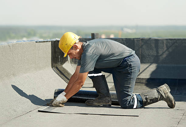 Best Insulation Maintenance and Repair in Hopkins, SC
